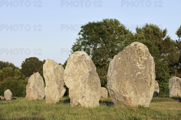 Megalithe, Alignements du Menec, Carnac, Department of Morbihan, Brittany, France