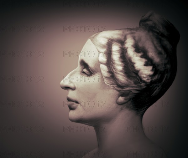 Bust of Marie-Sophie Germain, 1776 –1831, French mathematician, physicist and philosopher, digitally edited
