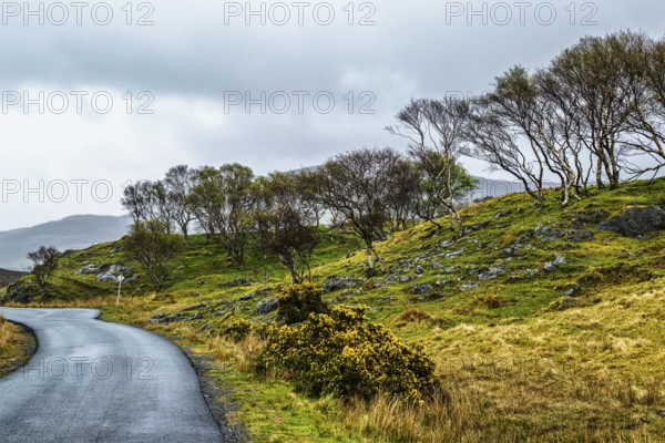Farms over Loch Slapin, Isle of Skye, Scotland, UK