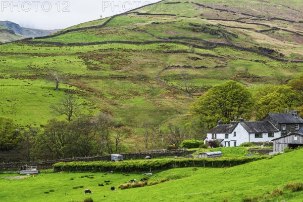 Farms in Lake District National Park, Cumbria, England, United Kingdom