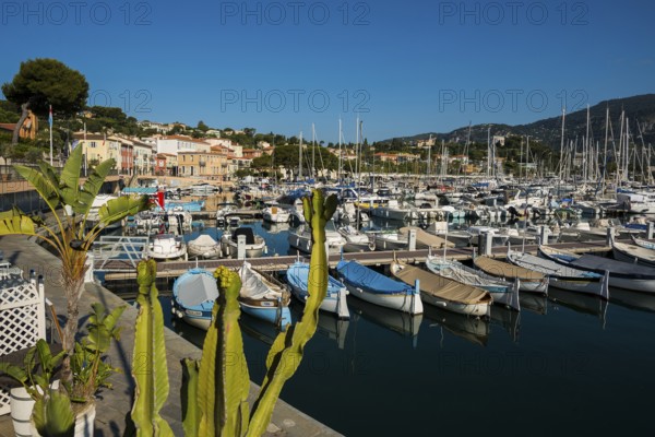 Saint-Jean-Cap-Ferrat, Cap Ferrat, Alpes Maritimes, Provence Alpes Cote d'Azur, French Riviera, South of France, France