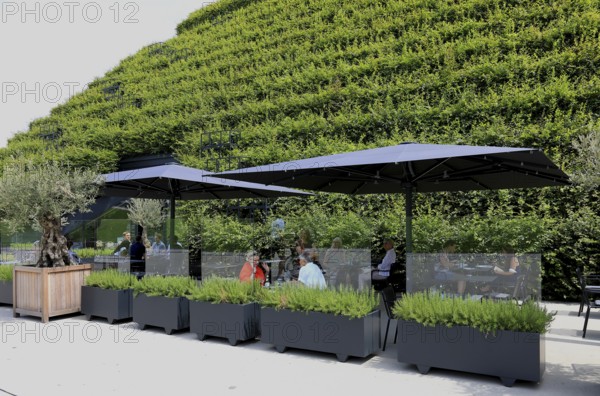 Climate protection. Europe's largest green façade 30, 000 young hornbeams thrive on the roof and sloping walls of the Kö-Bogen 2 commercial complex, Düsseldorf, North Rhine-Westphalia, Germany