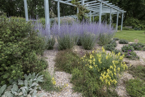 Karl Förster Garden, Gardens of the World, Berlin, Germany