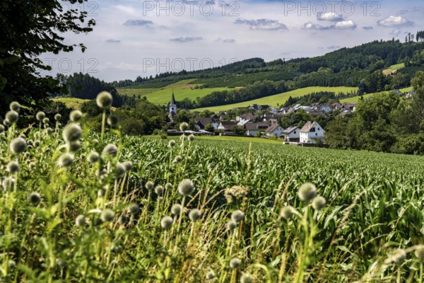 Landscape along the Sauerlandring cycle path, an 84 km long circular cycle path between the towns of Finnentrop, Eslohe, Schmallenberg and Lennestadt, mostly on former railway lines, here near Finnentrop-Serkenrode, Sauerland, North Rhine-Westphalia, Germany