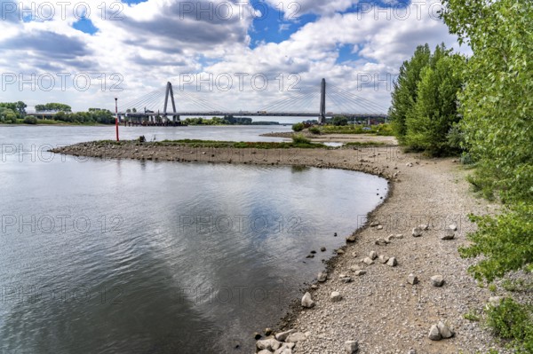 Low water level of the Rhine at Leverkusen, new Rhine bridge on the A1 motorway, extremely low water level of the Rhine, no restrictions on inland navigation yet, North Rhine-Westphalia, Germany