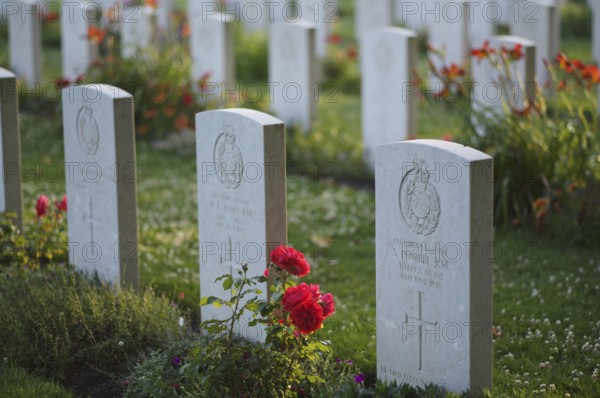Gravestones, war graves, soldiers' graves, flowers, roses, British and German military cemetery, Cimetière militaire britannique, D-Day, Operation Overlord, Bayeux, Normandy, Calvados, France