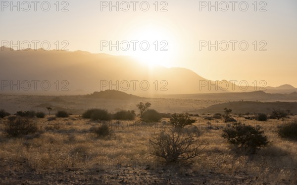 Desert landscape in the evening light at sunset, Brandberg, Erongo, Damaraland, Namibia