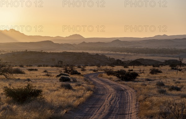 Sandy track, desert landscape in the evening light at sunset, backlit, Brandberg, Erongo, Damaraland, Namibia