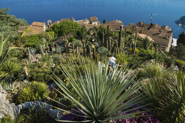 Picturesque mountain village overlooking the sea, Jardin Exotique, Èze, Cote d'Azur, Alpes-Maritimes, Provence-Alpes-Cote-d'Azur, South of France, France