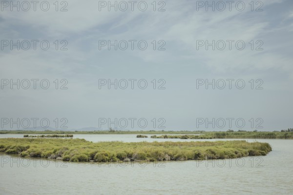 Rhone Delta, Arles, Provence, France