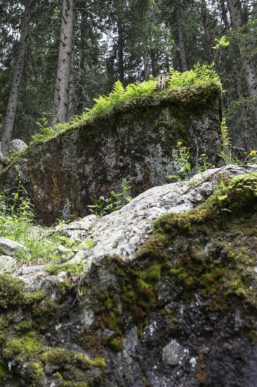 Seidlwinkl Valley, Rauris, Pinzgau, Salzburg, Austria