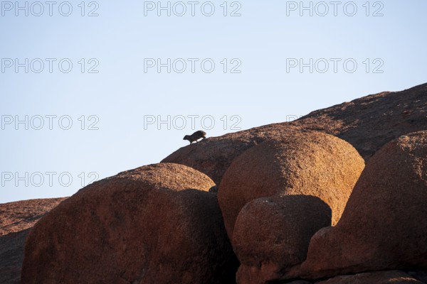 Rock formation, Pontok Mountains, Great Spitzkoppe, Spitzkoppe, Great Spitzkoppe Nature Reserve, Namibia