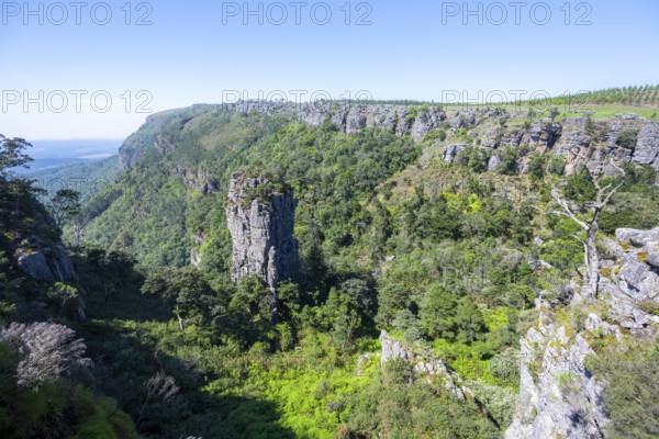 Rock needle in a densely forested canyon, Pinnacle Rock, view over canyon landscape, near Graskop, Mpumalanga, South Africa