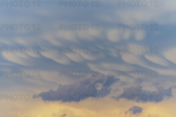 Unusual cloud structures create captivating shapes against a backdrop of warm colours as the sun sets, bringing a serene yet dramatic atmosphere to the evening sky. Bas rhin, Alsace, grand est, France