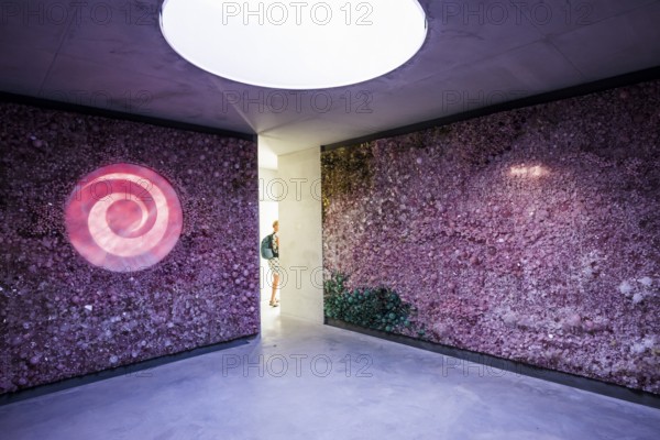 Meditation room with real crystals, artist Tia-Thuy Nguyen, Petit Portier, Monte Carlo, Cote d'Azur, Monaco