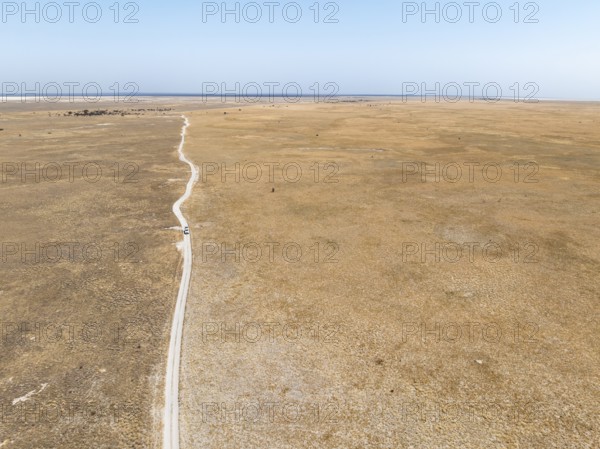 Off-road vehicle driving on a sandy track through a vast dry landscape with yellow grass, Sowa Pan, Makgadikgadi salt pans, Botswana