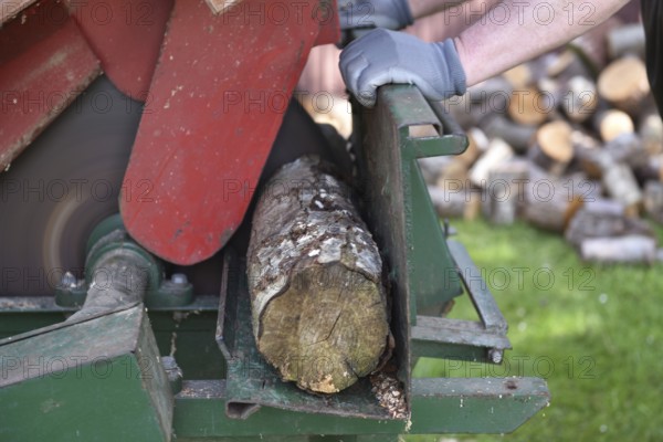 Sawing wood, firewood with the circular saw