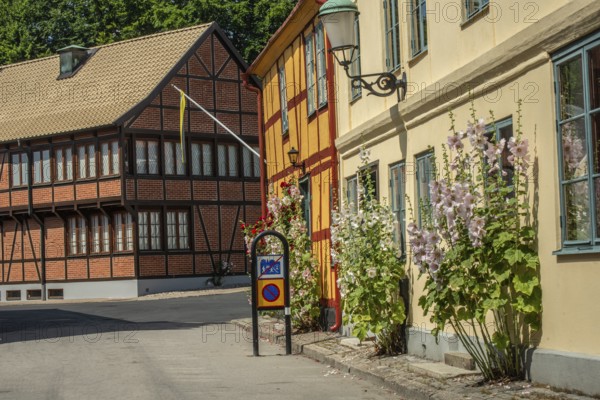Hollyhocks (Alcea rosea) at houses in a small street in the idyllic downtown of Ystad, Skåne County, Sweden, Scandinavia