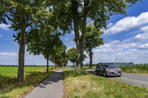 Country road south of Kampen, on the Lower Rhine, with side cycle and footpath, North Rhine-Westphalia, Germany