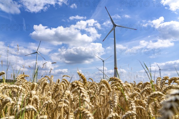 Rheurdt wind farm, south of Ismus, 3 Enercon E-115, behind Enercon E-160 WTGs, wind turbines, North Rhine-Westphalia, Germany