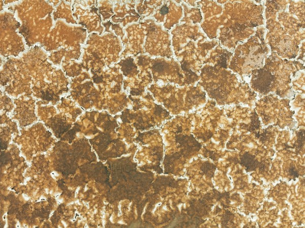 Salt marsh at the Skeleton Coast. Aerial view. Drone shot. Dorob National Park, Namibia