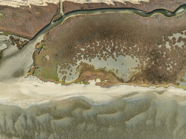 Marshes and streams at low tide in the Walvis Bay Lagoon. Aerial view. Drone shot. Namibia