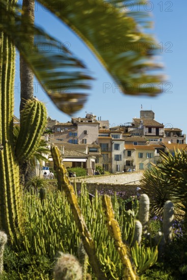 Picturesque town by the sea, Antibes, Provence Alpes Côte d'Azur, South of France, France