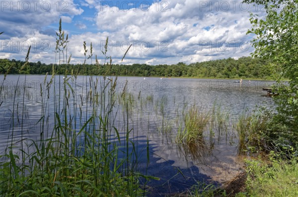 The Bullensee is located in a moorland area and is part of the Bullensee and Hemelsmoor nature reserve near the town of Zeven in the district of Rotenburg (Wümme) in Lower Saxony. The lake is also a local recreation area in the Bremen and Rotenburg/Wümme region. Bülstedt, Rotenburg, Lower Saxony, Germany