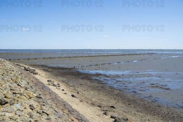 Wadden Sea at low tide, groynes, breakwater, Schleswig-Holstein Wadden Sea National Park, Pellworm Island, North Frisia, North Sea, Schleswig-Holstein, Germany