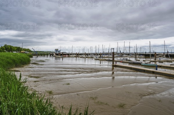 Pauillac, Gironde Estuary, Bordeaux, Gironde, Nouvelle-Aquitaine, France
