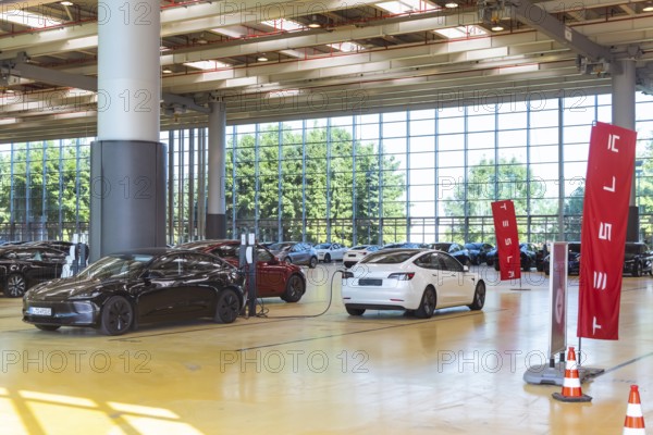 Standstill at the largest Tesla pick-up centre in Europe. Tesla's sales crisis is making itself felt at the delivery hub in Holzgerlingen. There is little demand for Elon Musk's American-style electric cars. The central contact point for sales and vehicle servicing is located in Daimlerstrasse in the small Swabian town near Sindelfingen, where the vehicles are also delivered. Vehicle hall with logo. Holzgerlingen, Baden-Württemberg, Germany