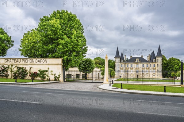Vineyard of Chateau Pichon Longueville Baron Vineyard and grape fields around Pauillac, Bordeaux, Gironde, Nouvelle-Aquitaine, France