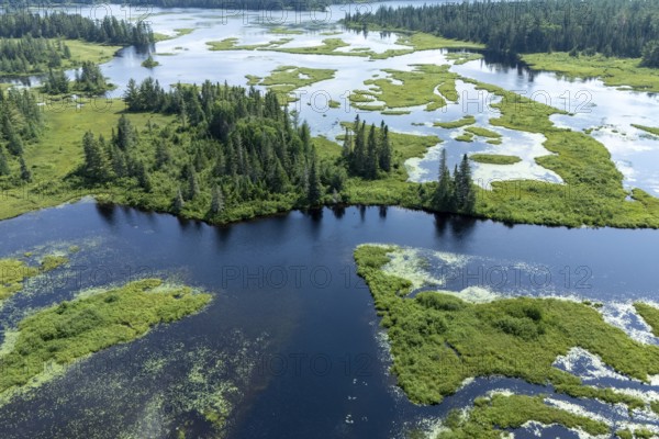 Lake and islands with vegetation, Boreal forest, Mastigouche wildlife reserve, Region of La Mauricie, Province of Quebec, Canada