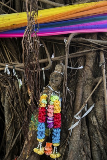 Bodhi tree, Ficus religiosa, wooden figure, Koh Phi Phi, Krabi, Andaman Sea, Thailand