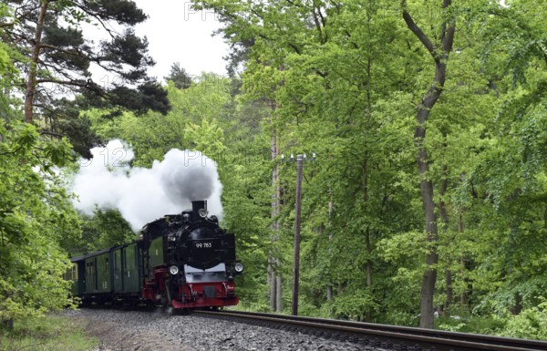 The Raging Roland, narrow-gauge railway, on Rügen, Mecklenburg-Vorpommern, Germany