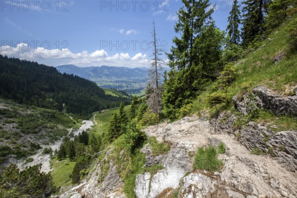 Hiking trail from the Gaißalpe to Unterer Gaißalpsee, at the back of the Illertal, near Oberstdorf, Oberallgäu, Allgäu Alps, Allgäu, Bavaria, Germany
