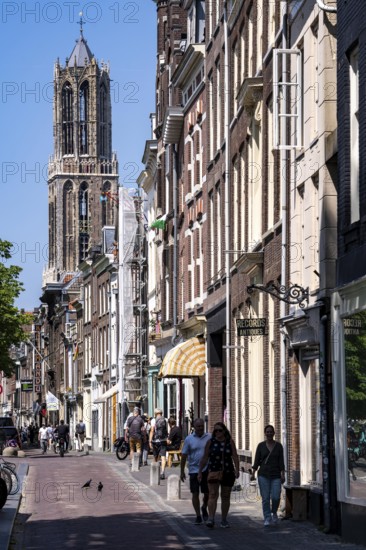 The historic centre of Utrecht, with many old houses, Dom tower, highest church tower in the Netherlands, newly renovated, Netherlands