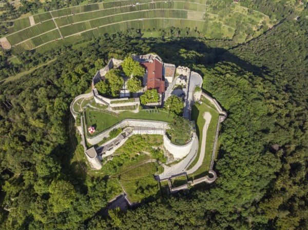 Luftbild von der hochmittelalterlichen Burgruine, Höhenburg Hohenneuffen am Albtrauf, Neuffen, Landkreis Esslingen, Schwäbische Alb, Baden-Württemberg, Deutschland