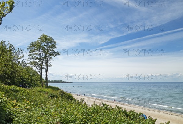 Natural sandy beach, Baltic resort Rerik, Baltic Sea, Rostock district, Mecklenburg-Western Pomerania, Germany