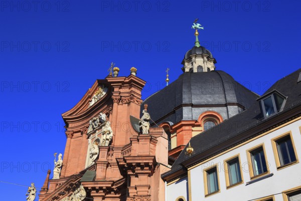 The Neumünster, Neumünster St John the Evangelist and St John the Baptist, former collegiate monastery, Neumünster Abbey, Neumünster collegiate monastery, Würzburg, Lower Franconia, Bavaria, Germany