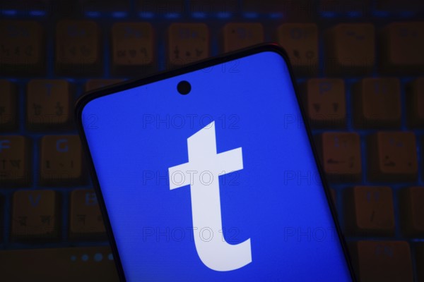 The logo of the Ticketmaster is displayed on a smartphone screen