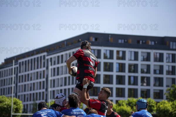 Rugby 1st Bundesliga South/West, 2024/25 season, final phase semi-final: SC Frankfurt 1880 vs SC Neuenheim
