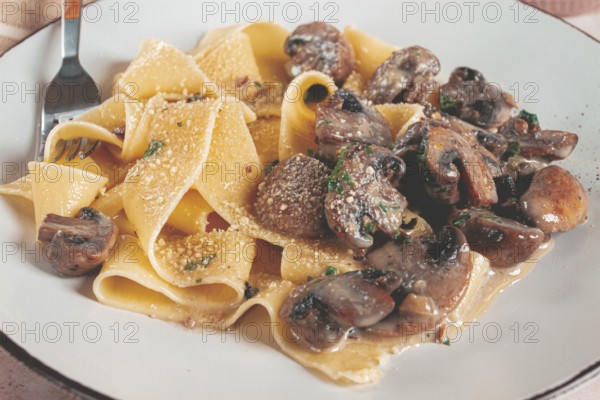 Delicious pappardelle pasta with mushrooms and cream served on a white plate