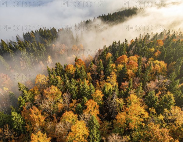 Mystical foggy landscape in autumn, colorful forest with fog in an aerial drone view, AI generated
