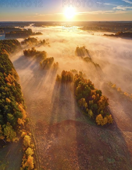 Mystical foggy landscape in autumn, colorful forest with fog in an aerial drone view, AI generated