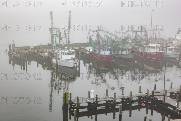 Commercial shrimp boats at the dock in the commercial area of the Biloxi Small Craft Harbor in Biloxi, Mississippi