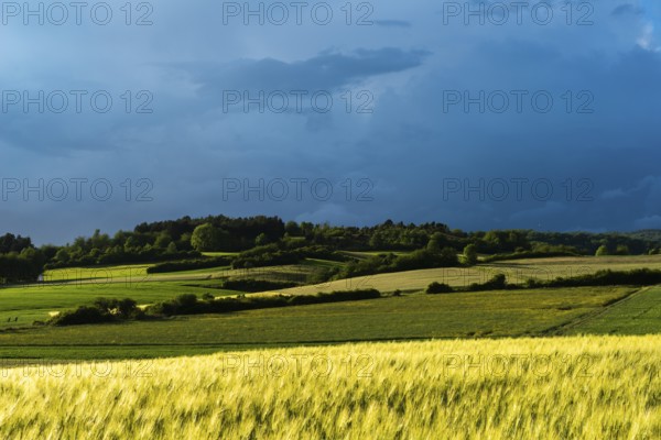 Dramatic cloudy sky with approaching storm and last rays of sunshine, Frankenhain, dark cloud wall, thunderstorm in the lift, low mountain landscape, agriculture, forest, grain field, backlight shot, municipality of Berkatal, Werra-Meissner-Kreis, Hesse, Germany