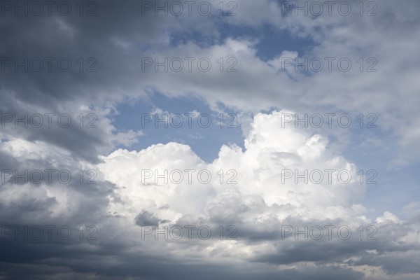 Dramatische Wolkenformation vor einem Sommergewitter, aufziehendes Unwetter, Extremwetter, Cumulonimbuswolke, Gewitterwolke, formatfüllend, Baden-Württemberg, Deutschland