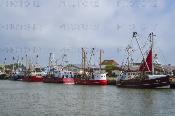 Fishing boats in the fishing harbour, Büsum, North Sea, Schleswig-Holstein, Germany