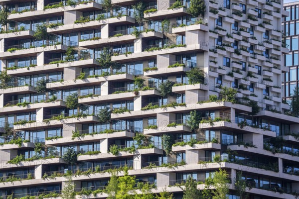 Wonderwoods residential tower, one of 2 green buildings, in Utrecht in the new Healthy Urban Quarter, at the central station, 105 metres high with 30 floors, Tower II, over 360 trees and over 9600 shrubs and flowering plants native to the region, all irrigated with collected rainwater, sponge city principle and monitored with sensors, Utrecht, Netherlands